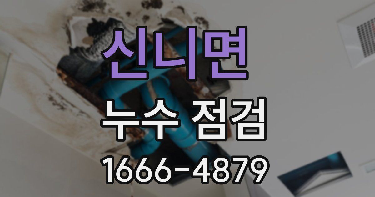 신니면 누수 점검
