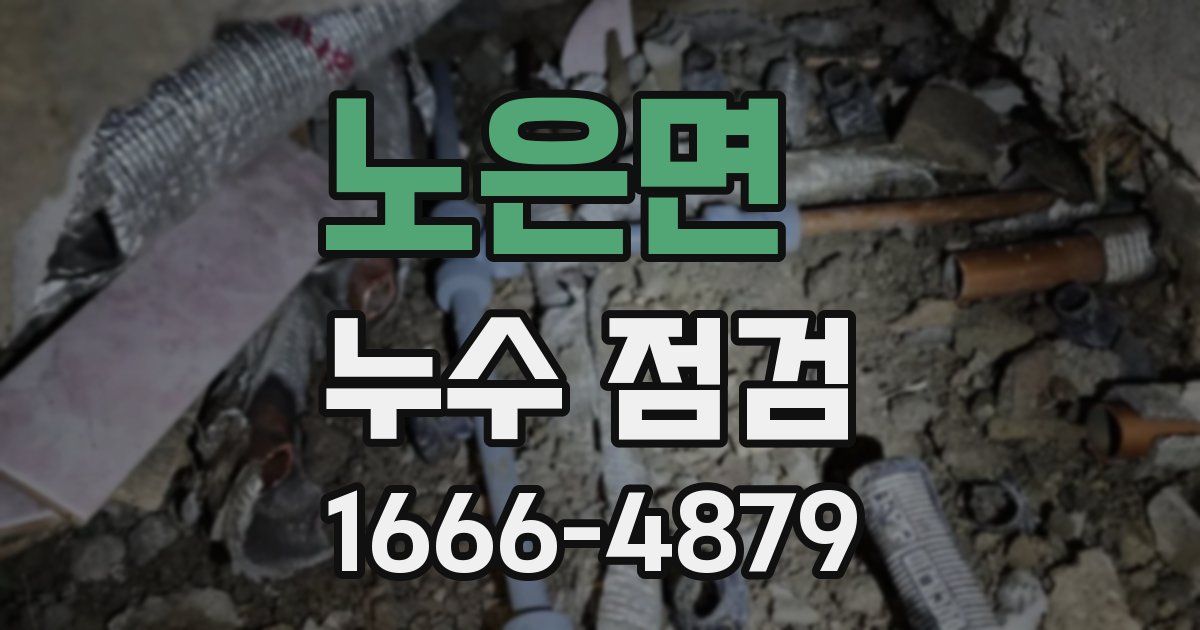 노은면 누수 점검