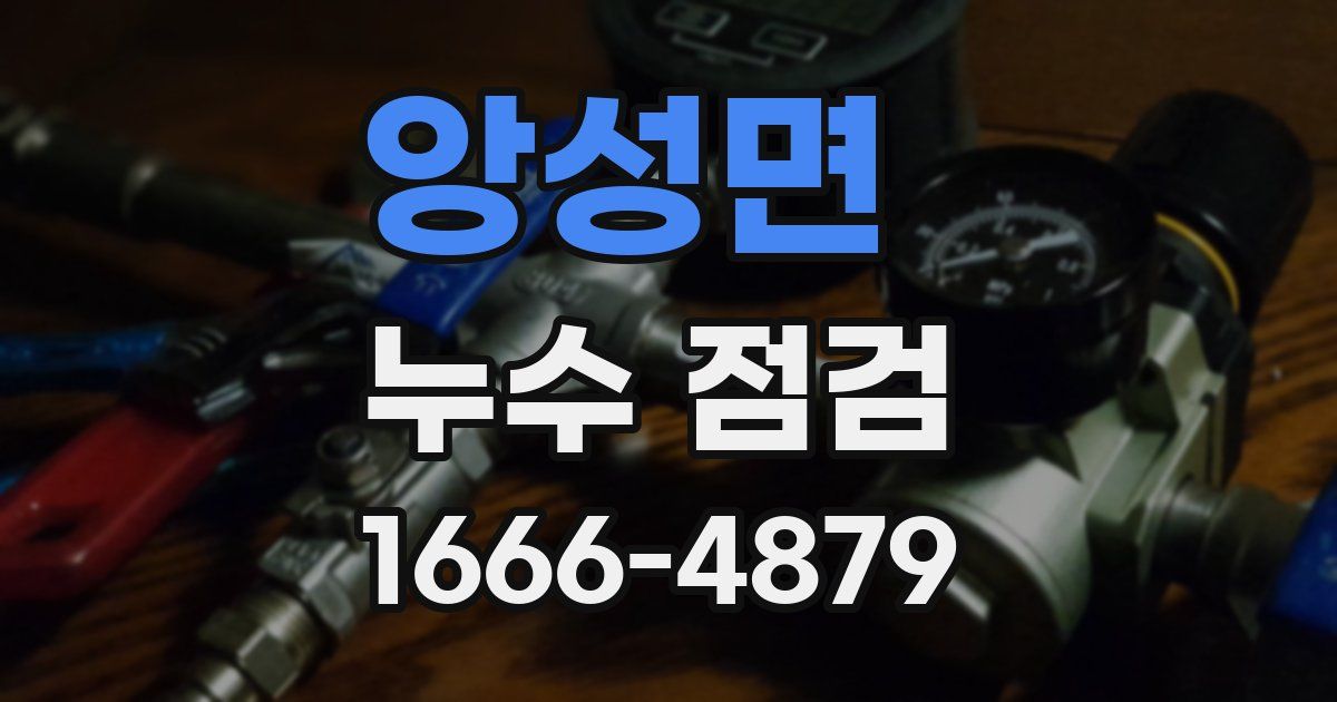 앙성면 누수 점검