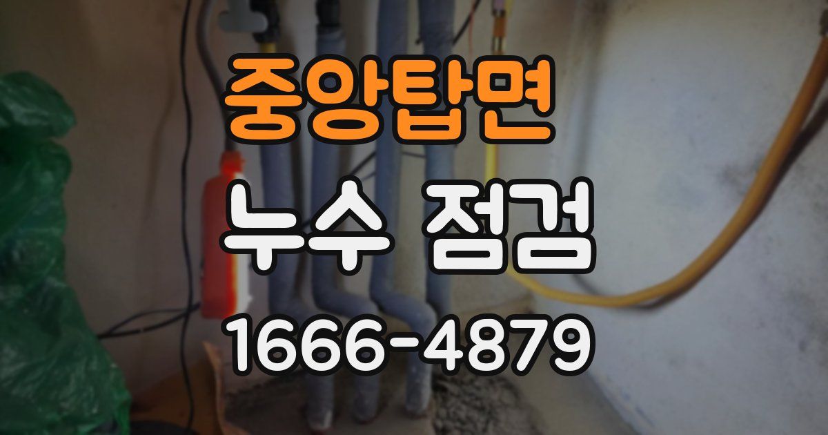 중앙탑면 누수 점검