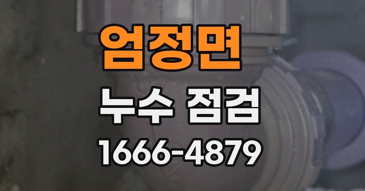 엄정면 누수 점검