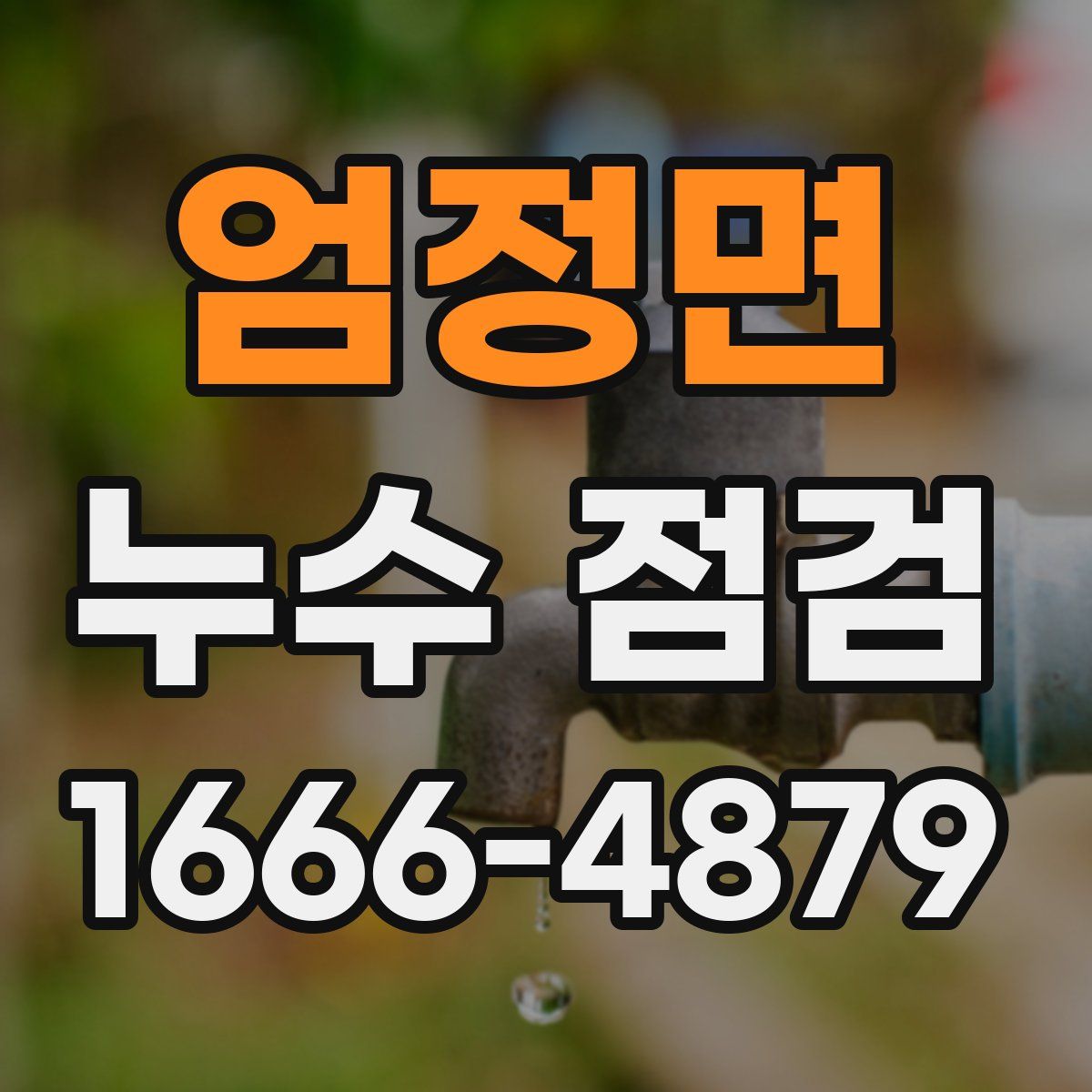 엄정면 누수 점검