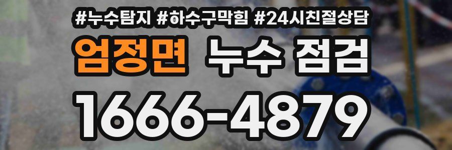 엄정면 누수 점검