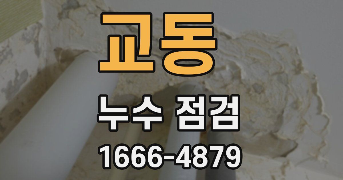 교동 누수 점검