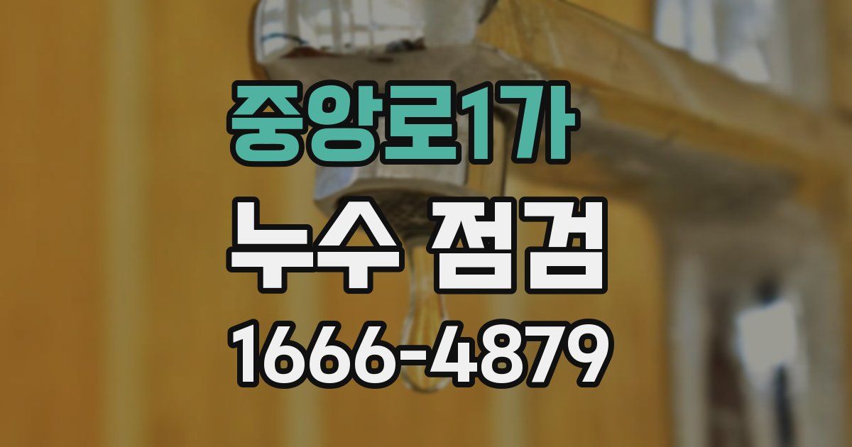 중앙로1가 누수 점검