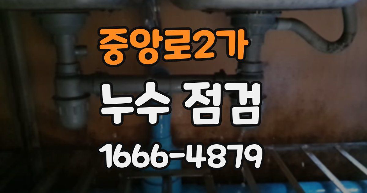 중앙로2가 누수 점검