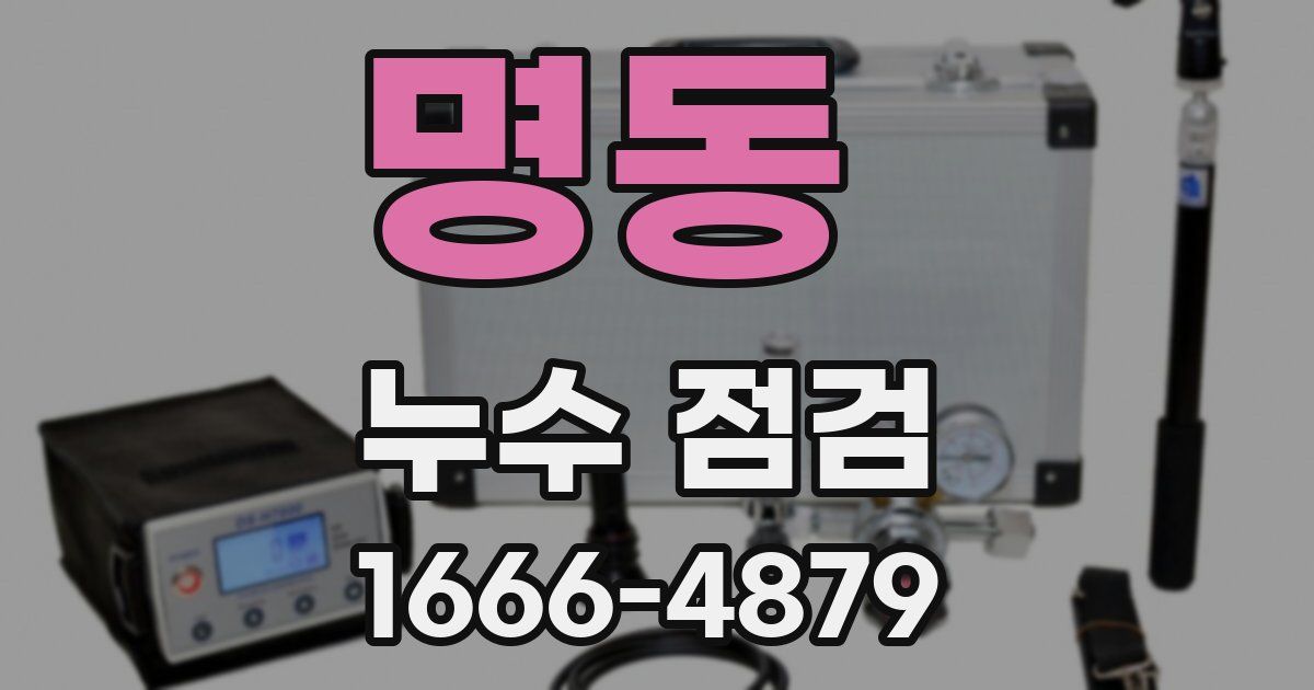 명동 누수 점검