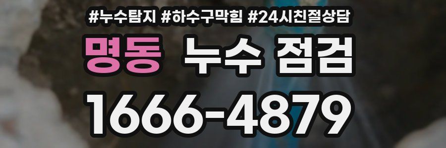 명동 누수 점검