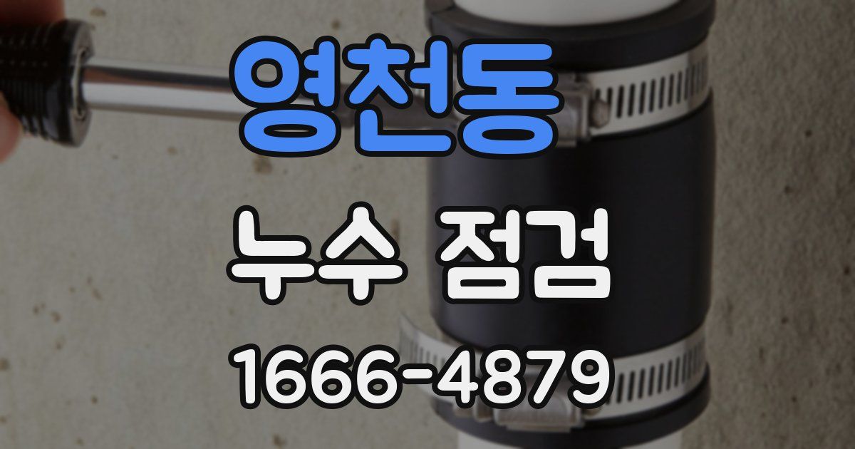 영천동 누수 점검