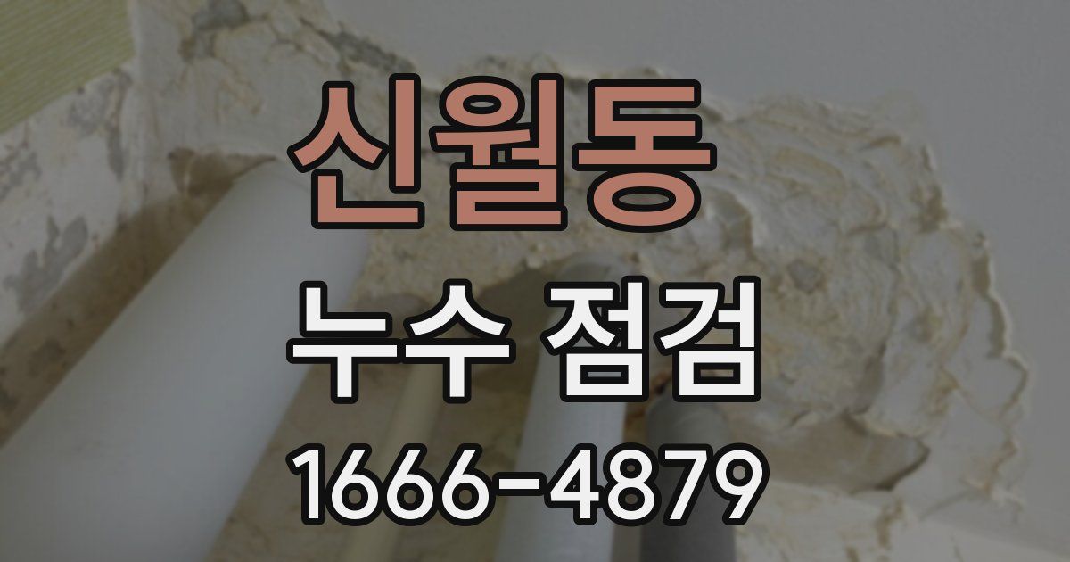 신월동 누수 점검