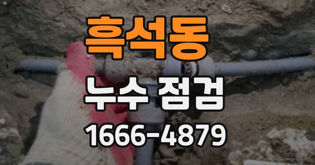 흑석동 누수 점검