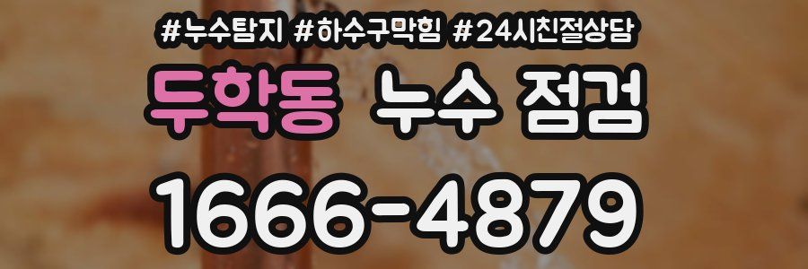 두학동 누수 점검