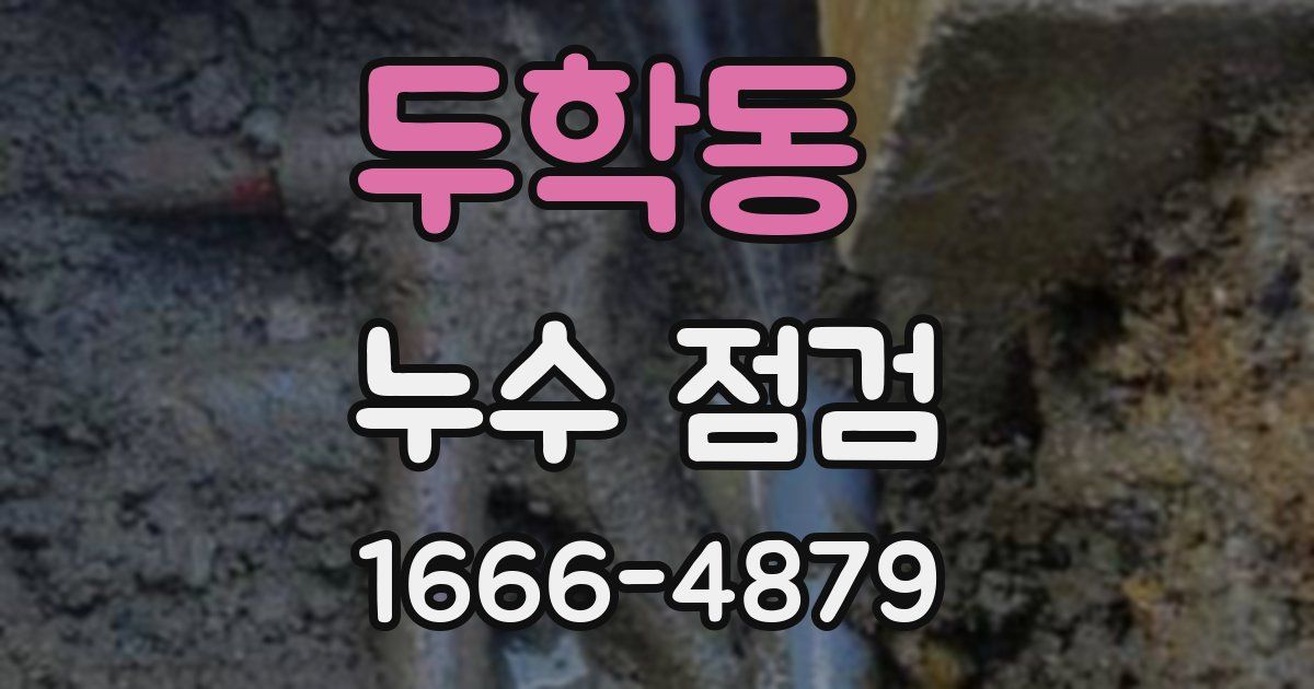 두학동 누수 점검