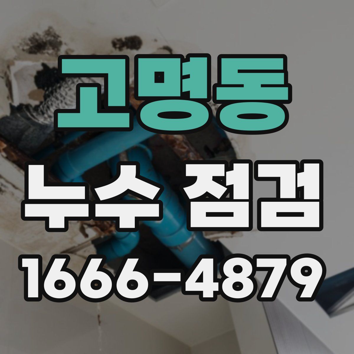 고명동 누수 점검