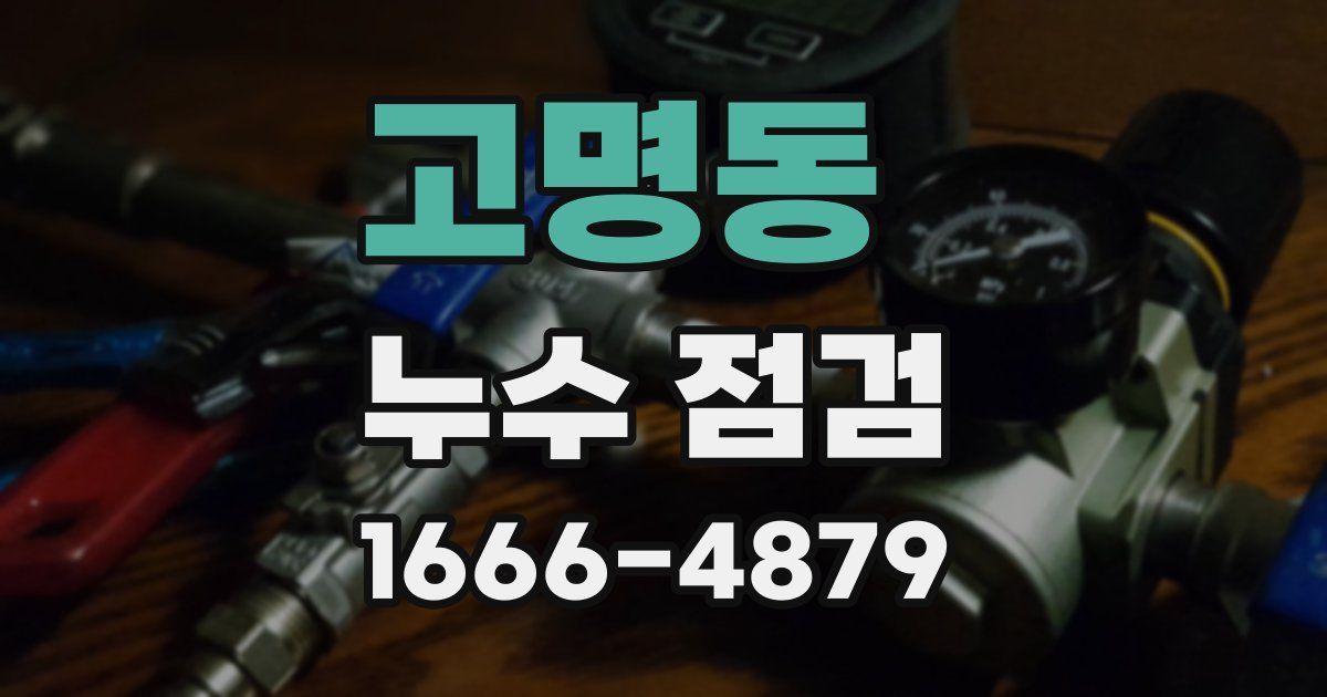고명동 누수 점검