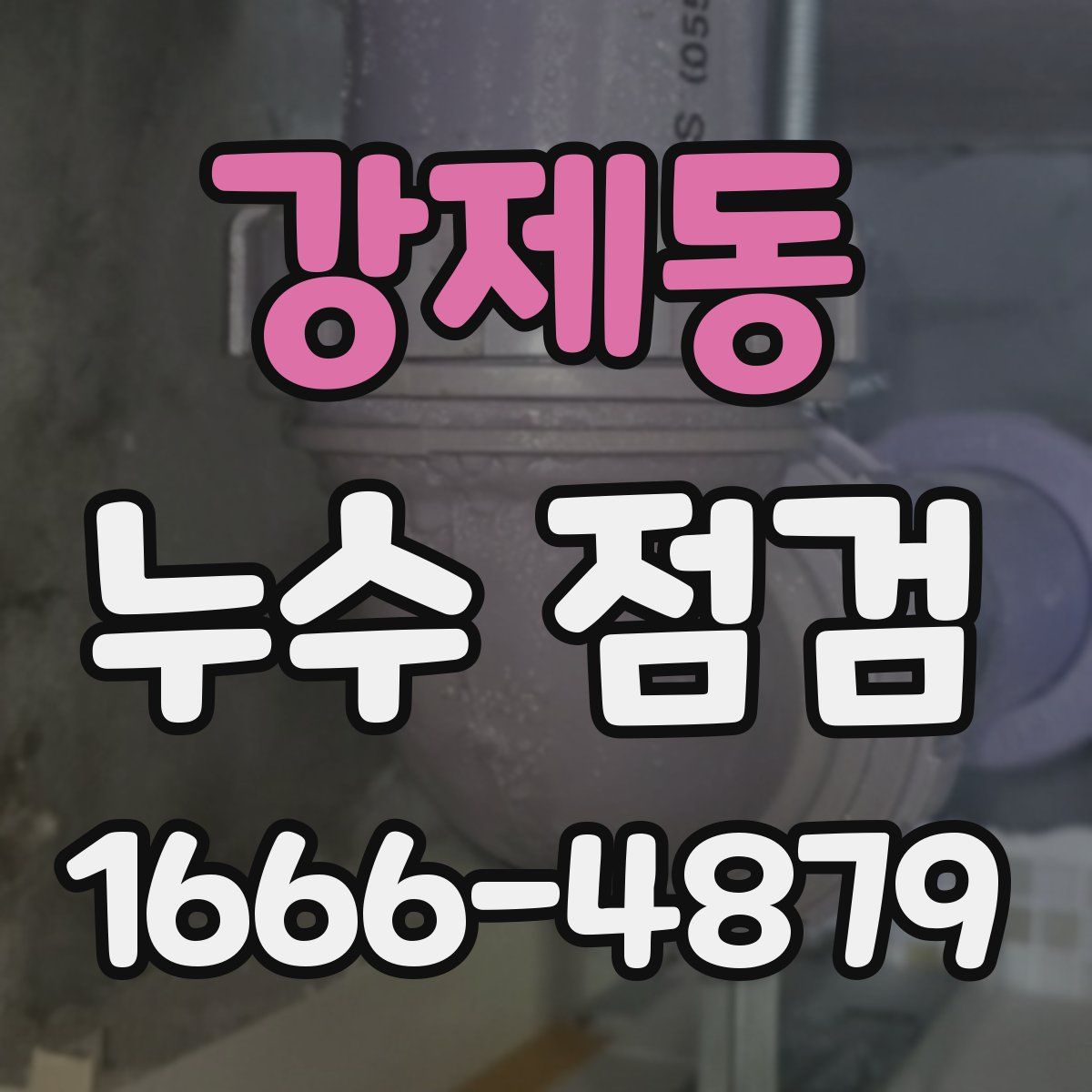 강제동 누수 점검