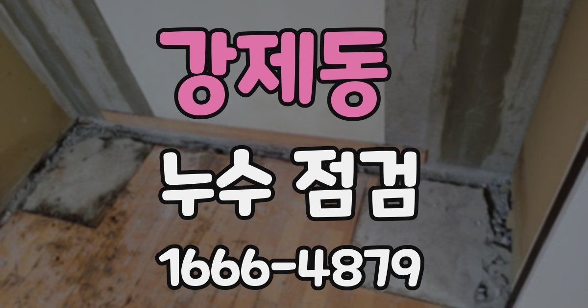 강제동 누수 점검