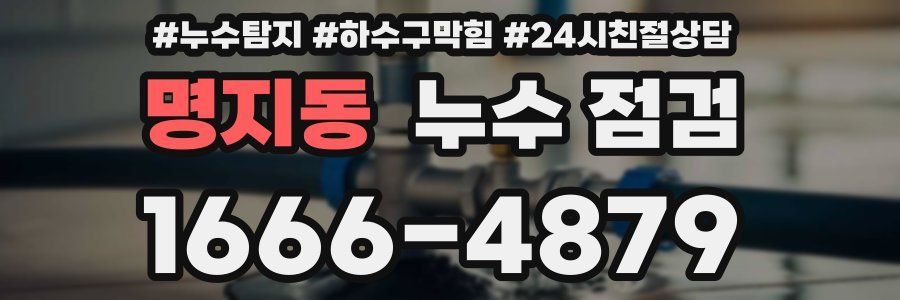 명지동 누수 점검