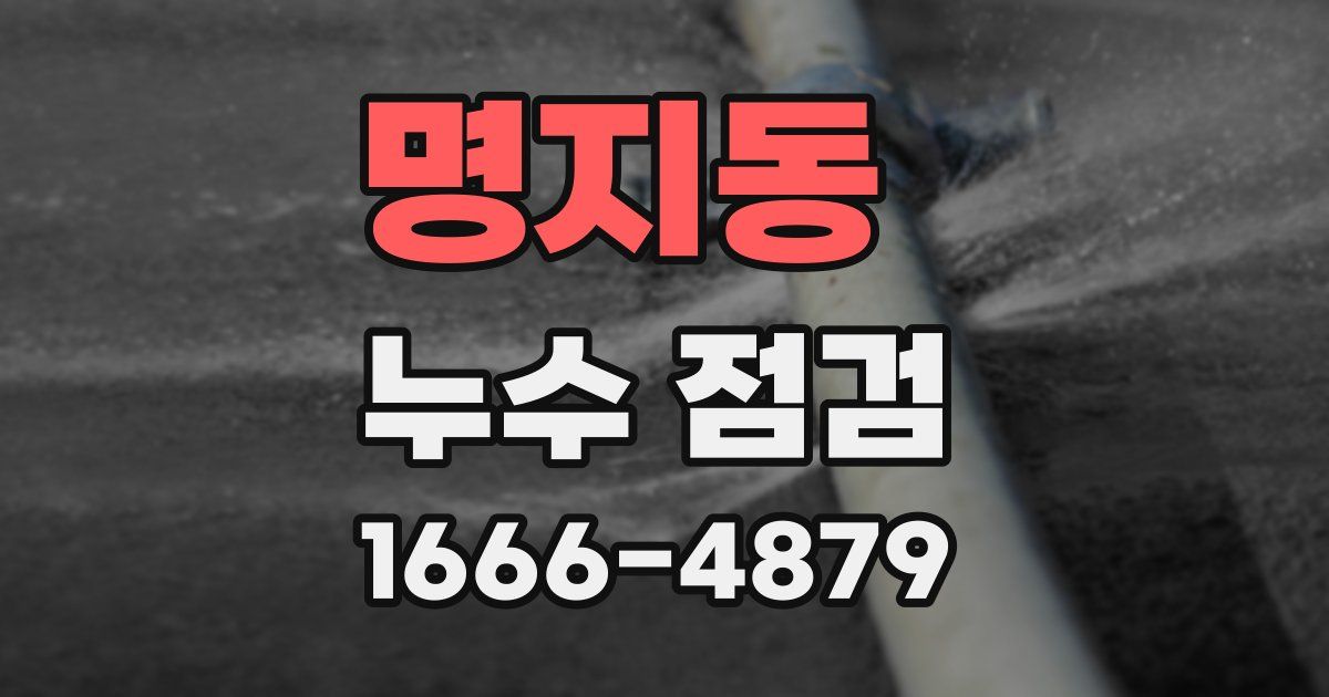명지동 누수 점검