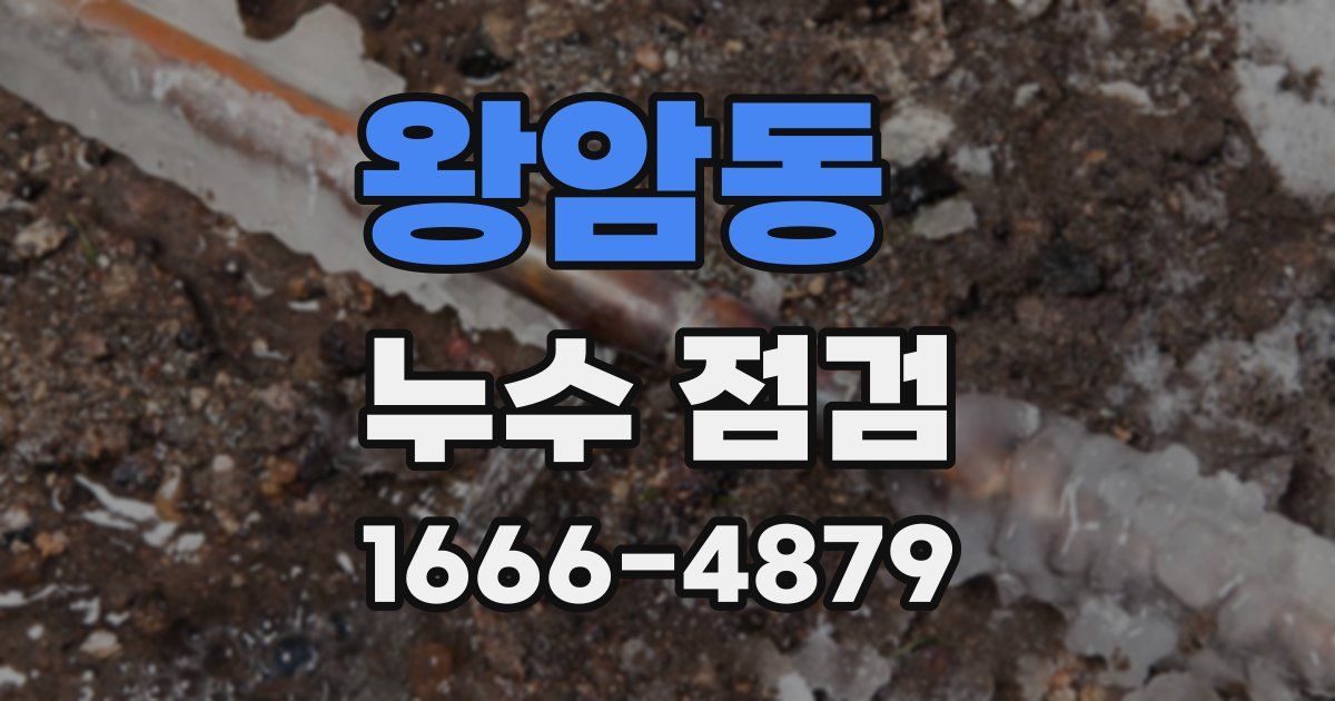 왕암동 누수 점검