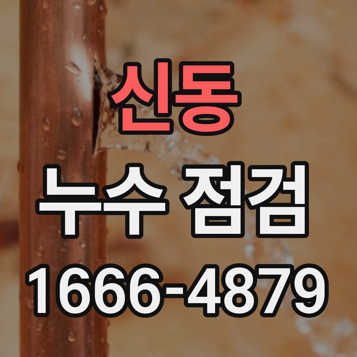 신동 누수 점검