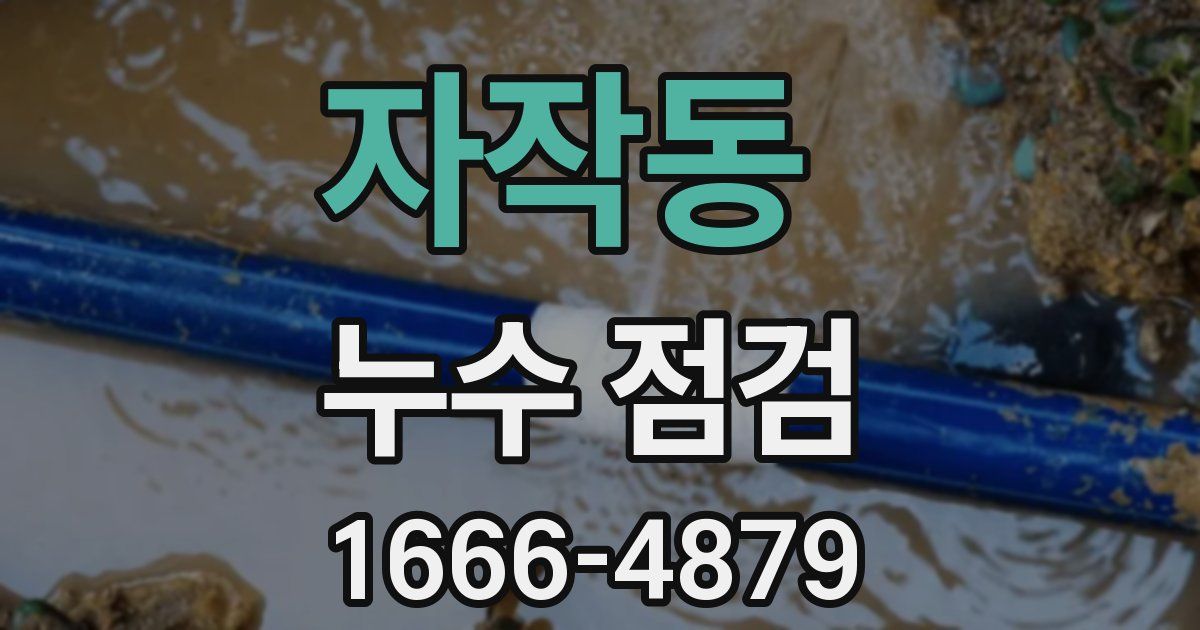 자작동 누수 점검