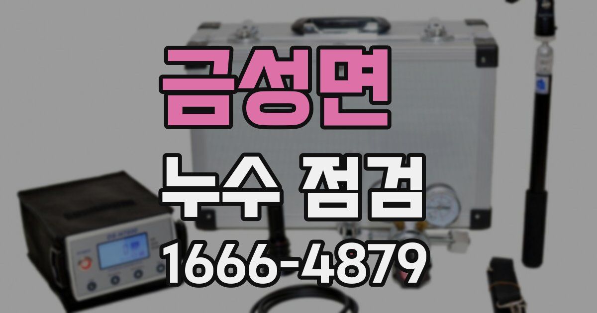 금성면 누수 점검
