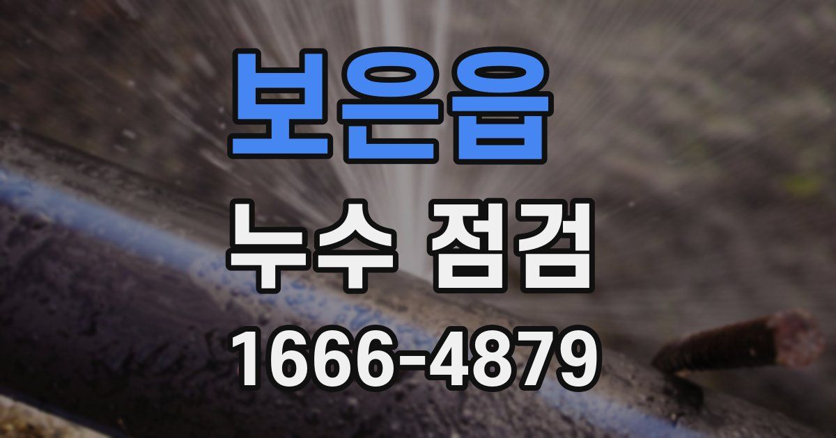 보은읍 누수 점검