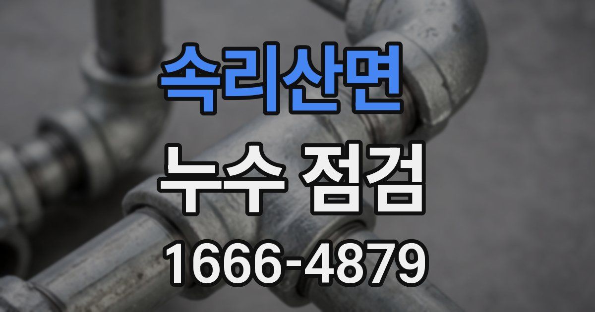 속리산면 누수 점검