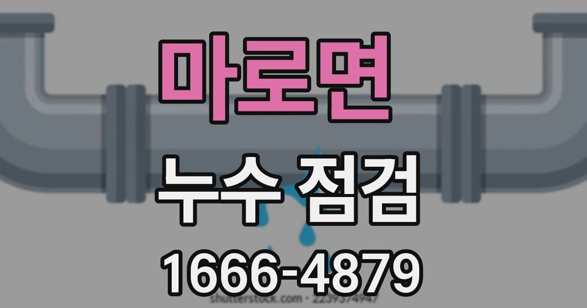 마로면 누수 점검