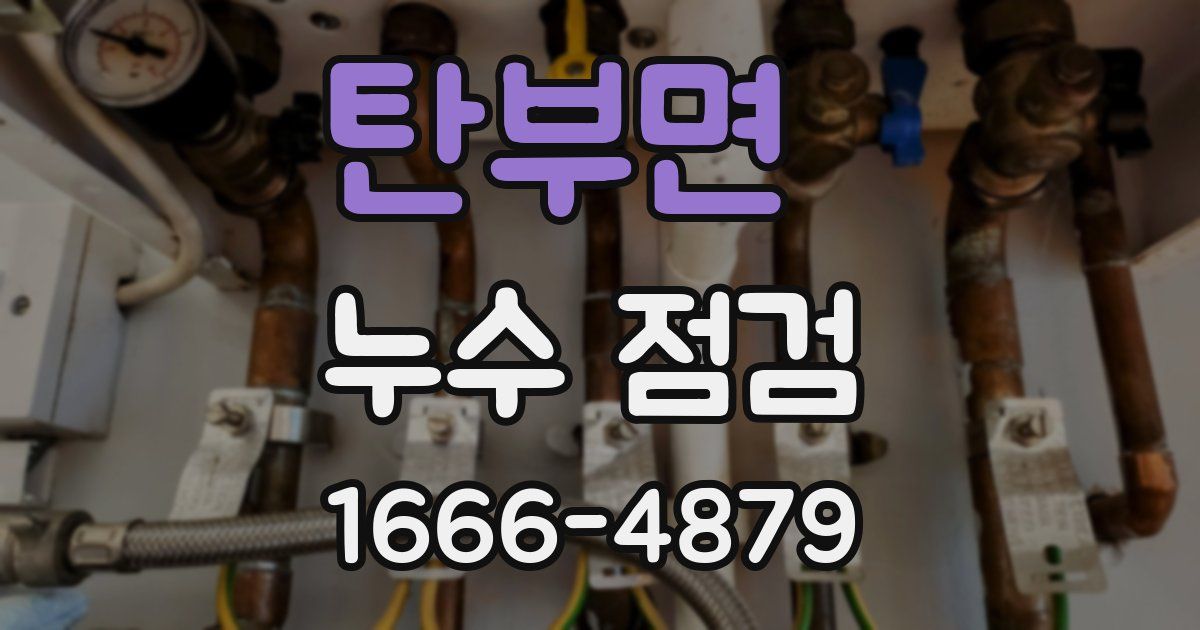 탄부면 누수 점검