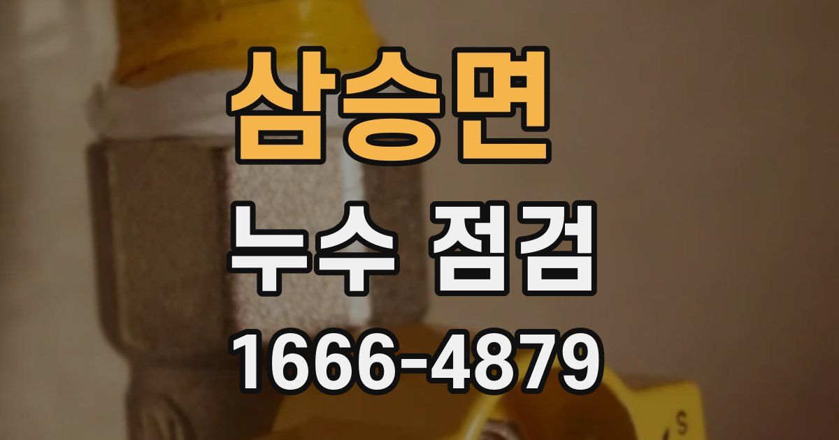 삼승면 누수 점검