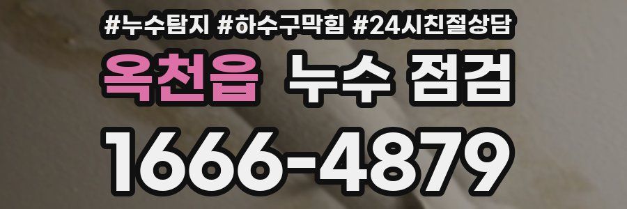 옥천읍 누수 점검