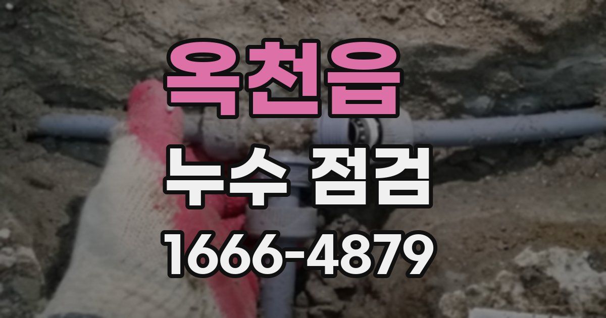 옥천읍 누수 점검