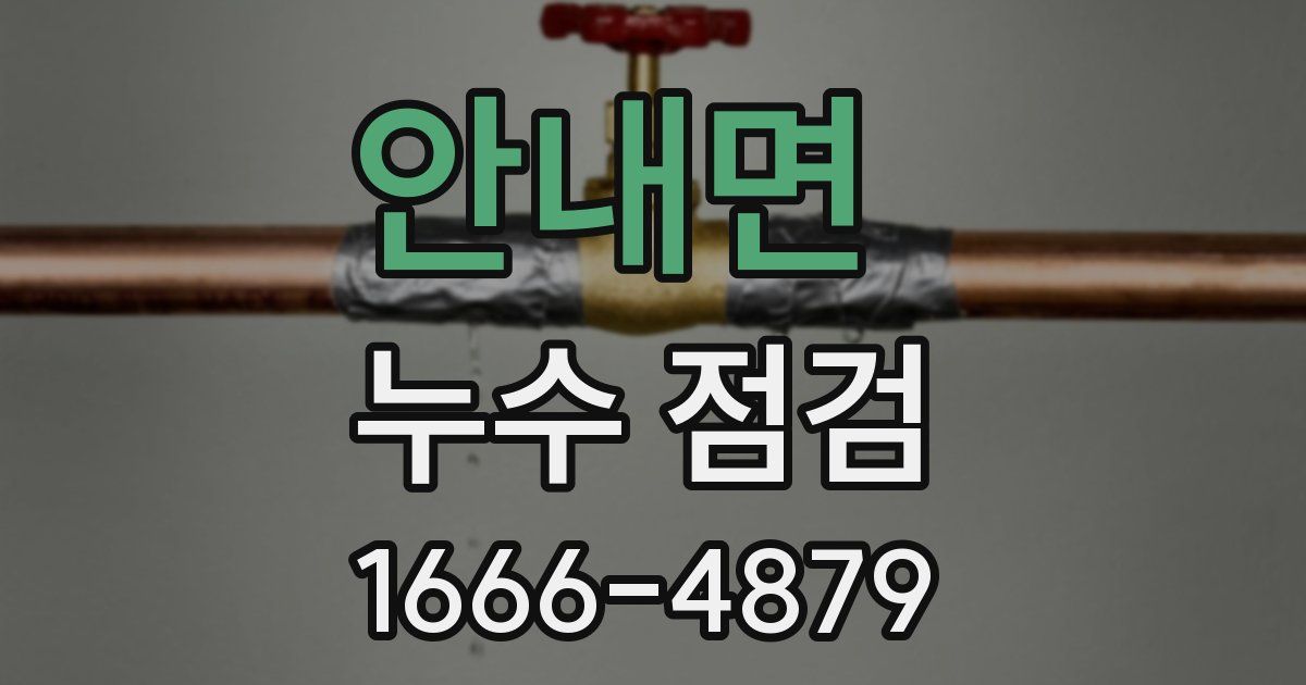 안내면 누수 점검