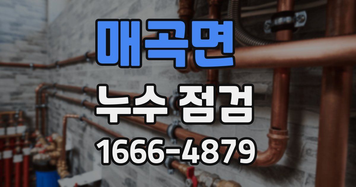 매곡면 누수 점검
