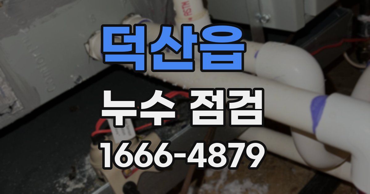 덕산읍 누수 점검
