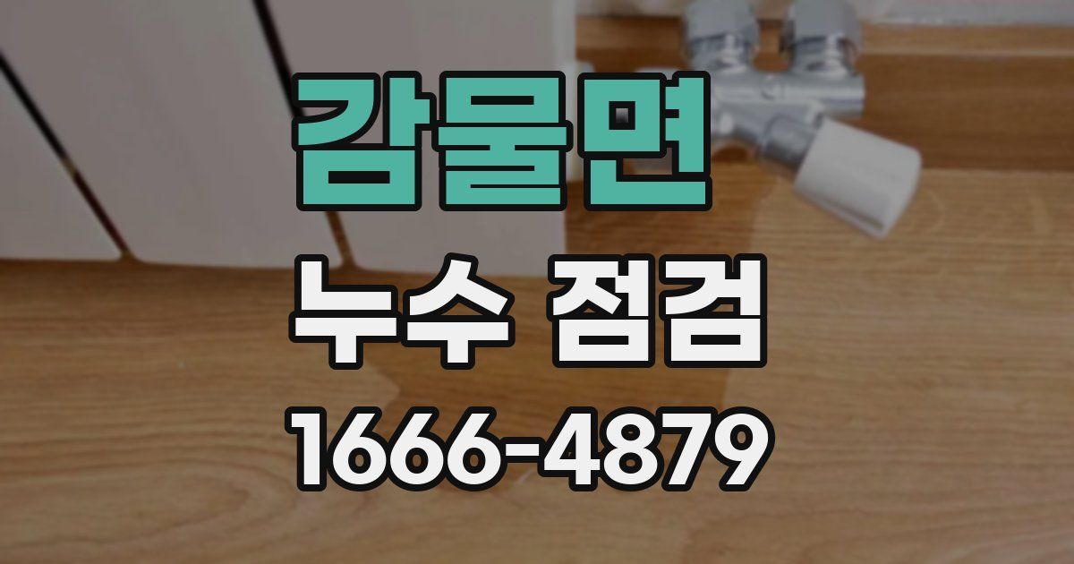 감물면 누수 점검