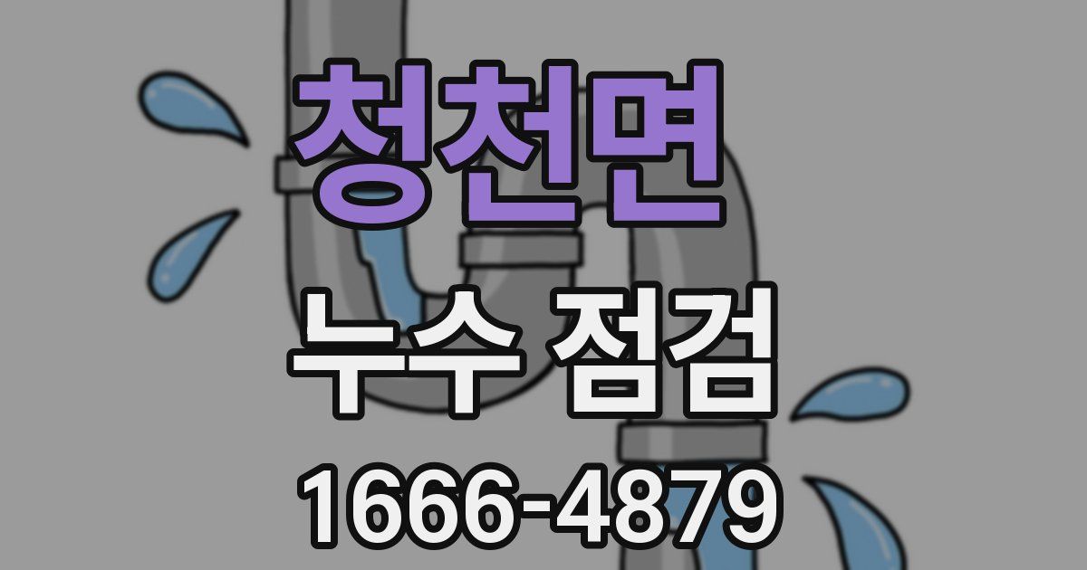 청천면 누수 점검
