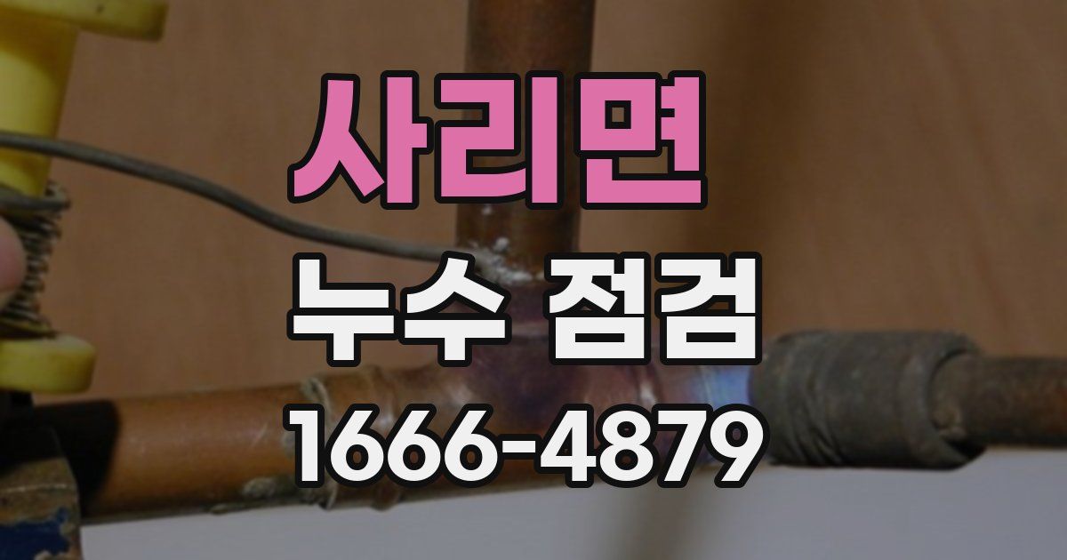 사리면 누수 점검