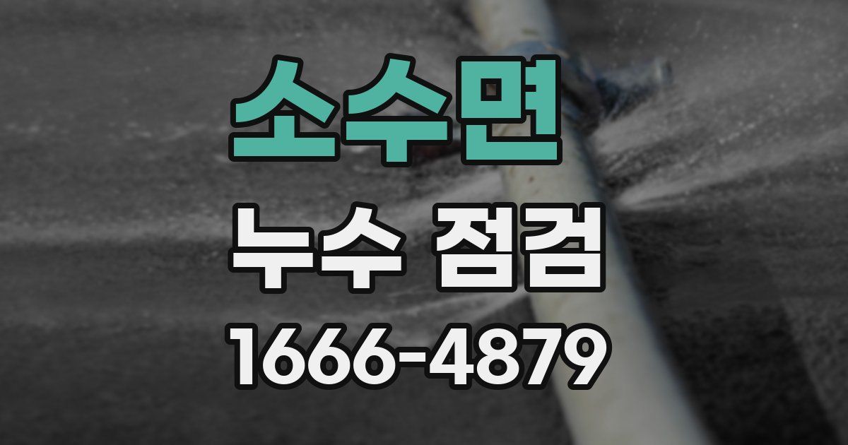 소수면 누수 점검