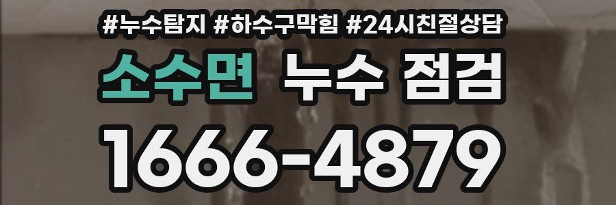 소수면 누수 점검