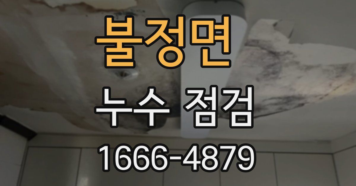 불정면 누수 점검