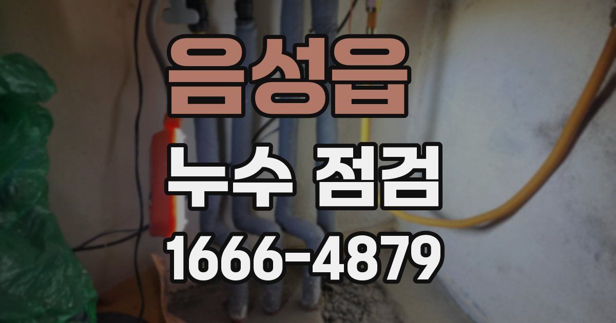 음성읍 누수 점검