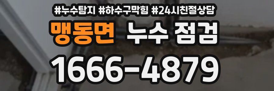 맹동면 누수 점검