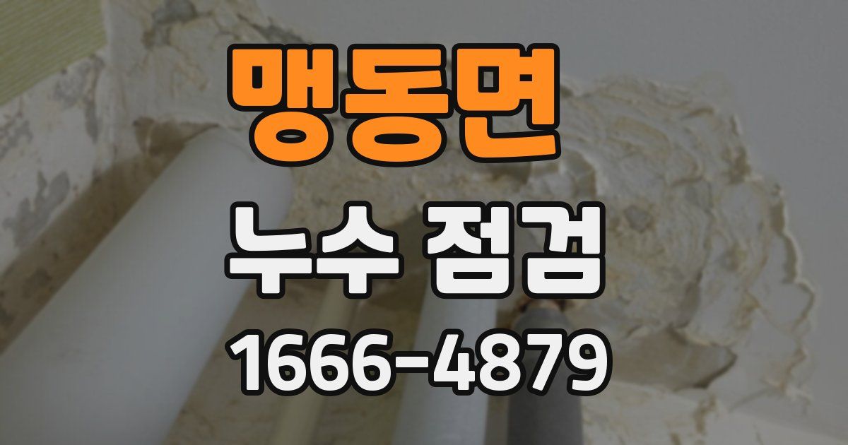 맹동면 누수 점검