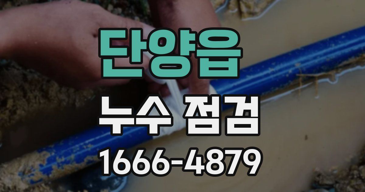 단양읍 누수 점검
