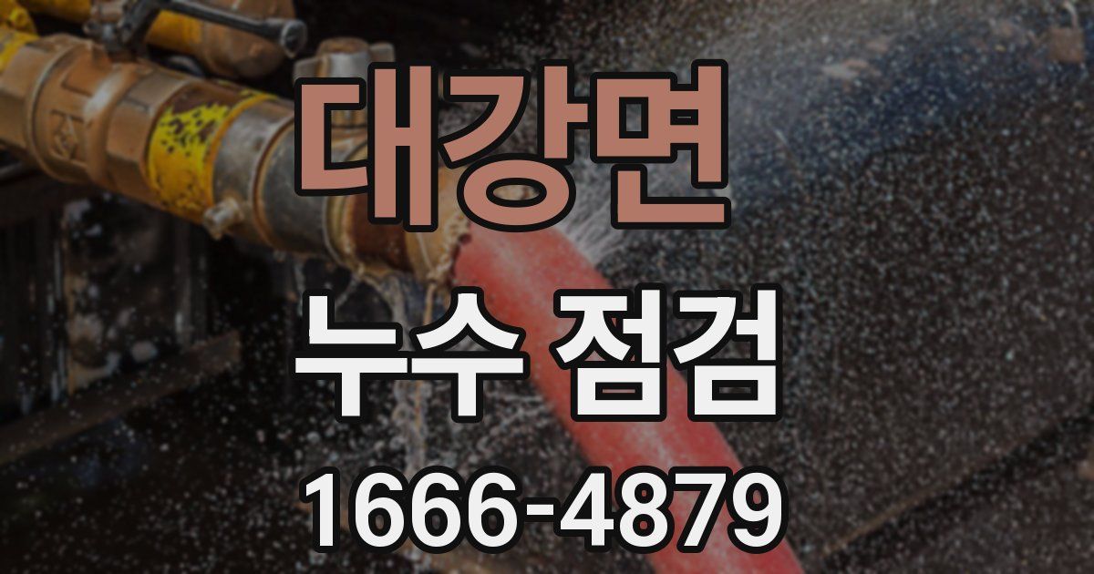 대강면 누수 점검