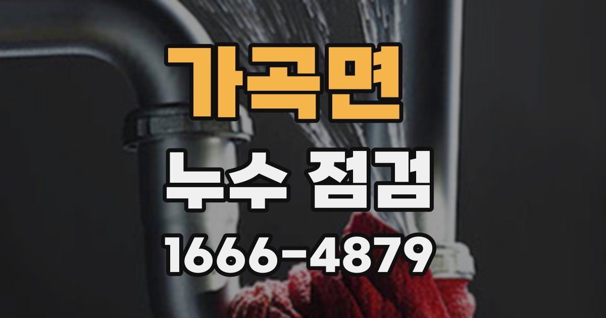 가곡면 누수 점검