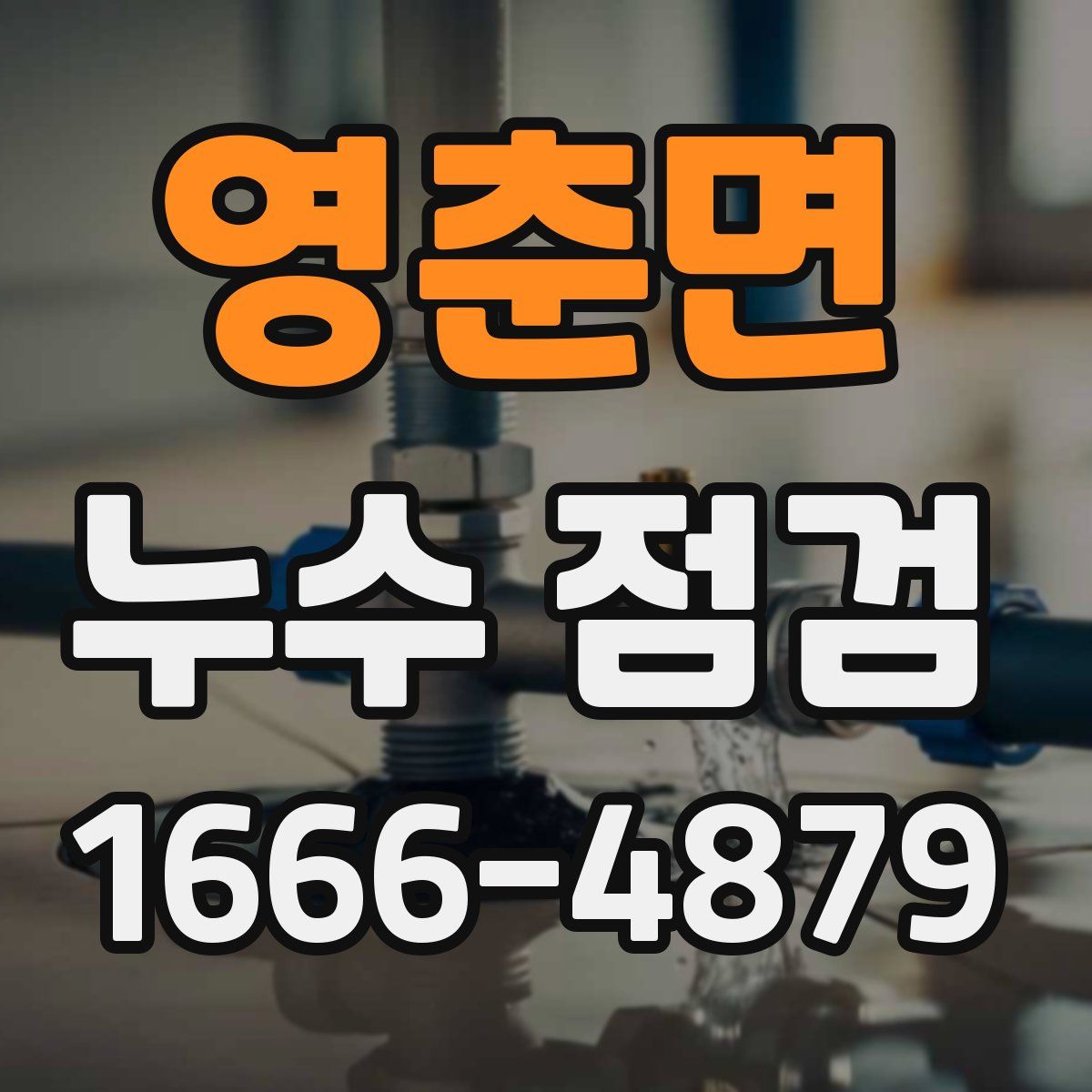영춘면 누수 점검